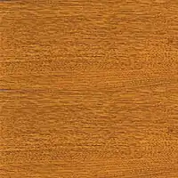 Золотой дуб